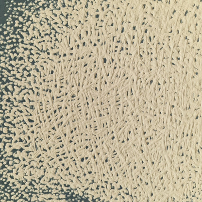 Sfumato