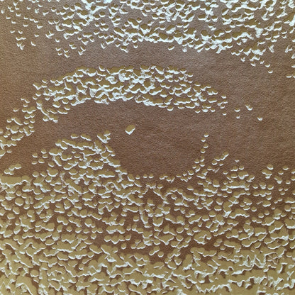 Sfumato